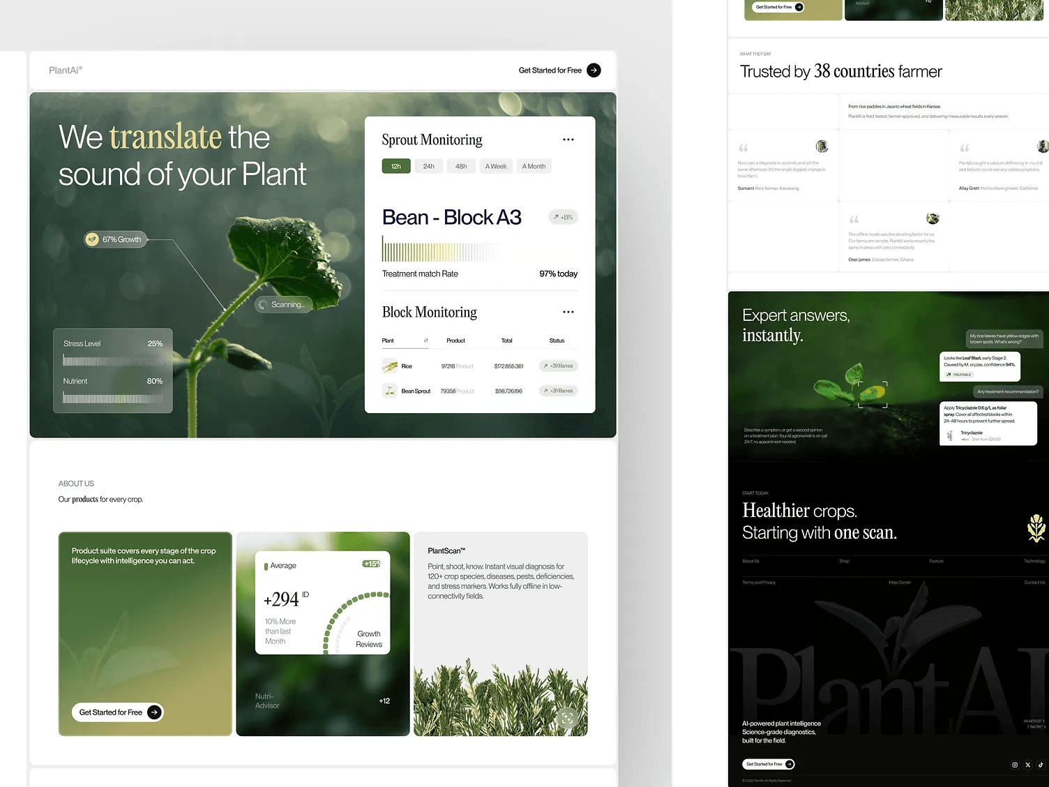 E-commerce platform case study
