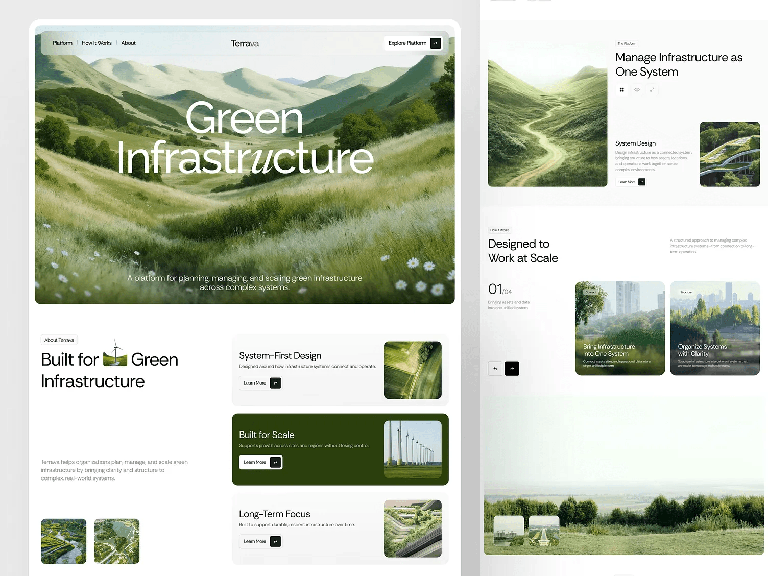 Medical Website case study